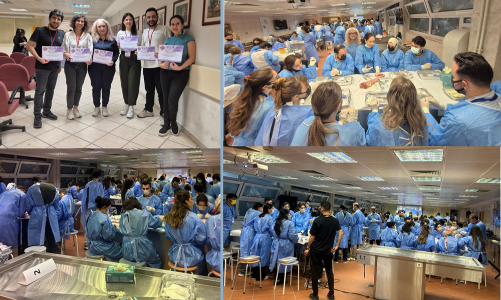 Türk Dermatoloji Yeterlik Kurulu