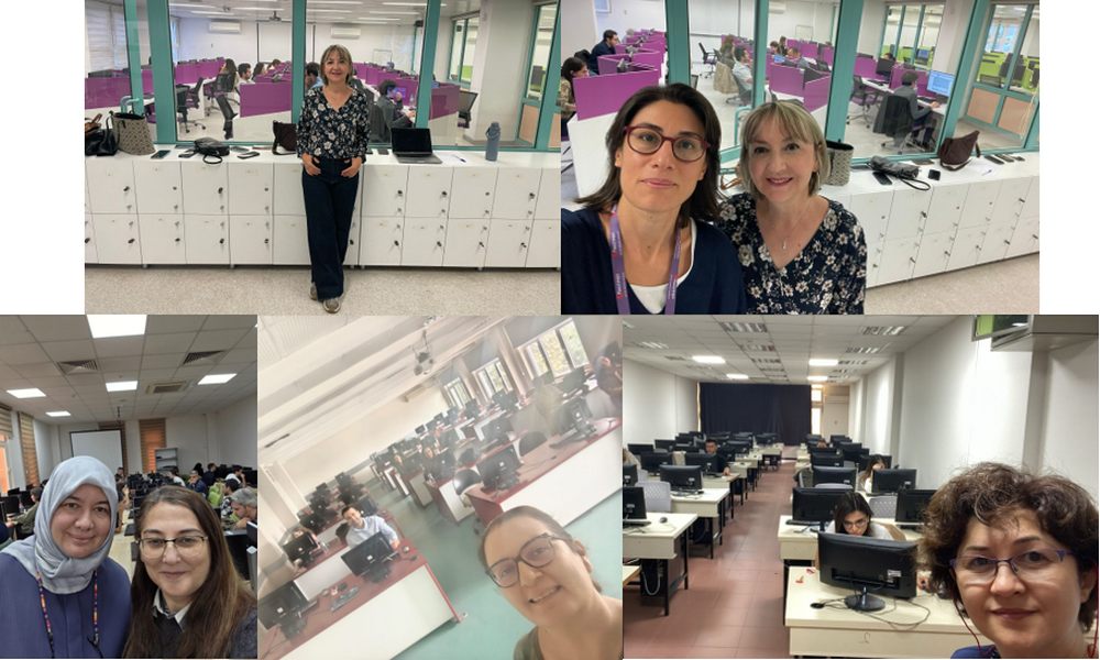 Türk Dermatoloji Yeterlik Kurulu